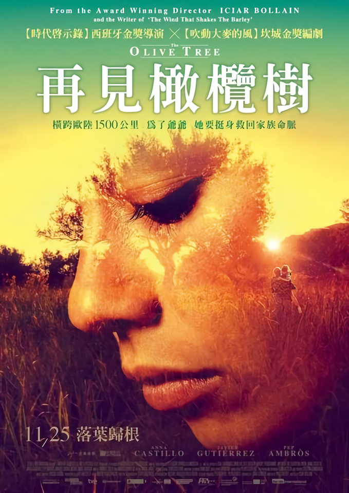 再見橄欖樹_The Olive Tree_電影海報