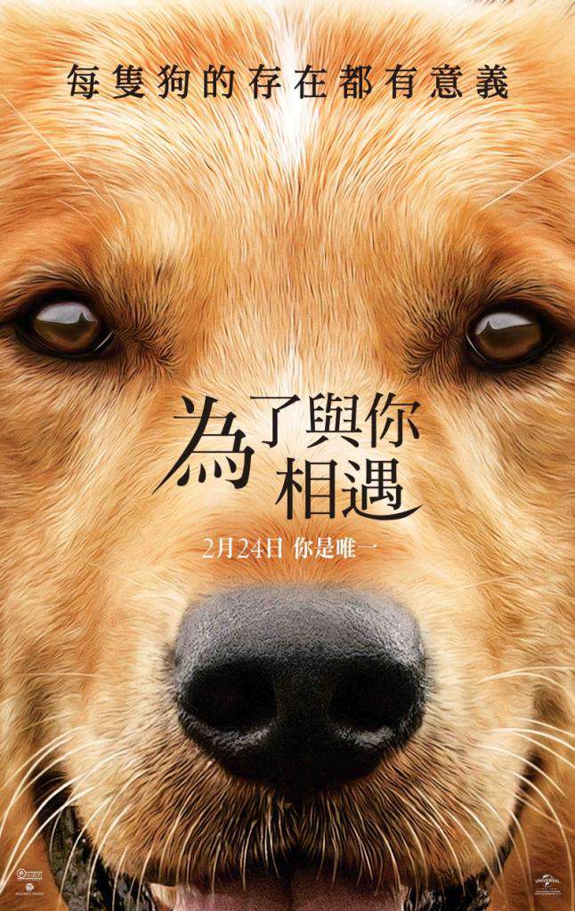 為了與你相遇_A Dog's Purpose_電影海報