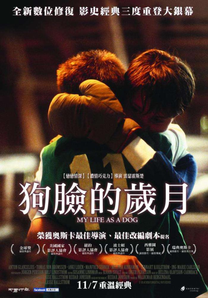 狗臉的歲月_My Life as a Dog_電影海報