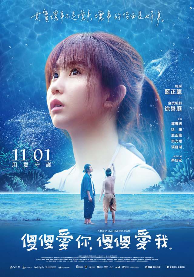 傻傻愛你，傻傻愛我_A fool in love, love like a fool_電影海報