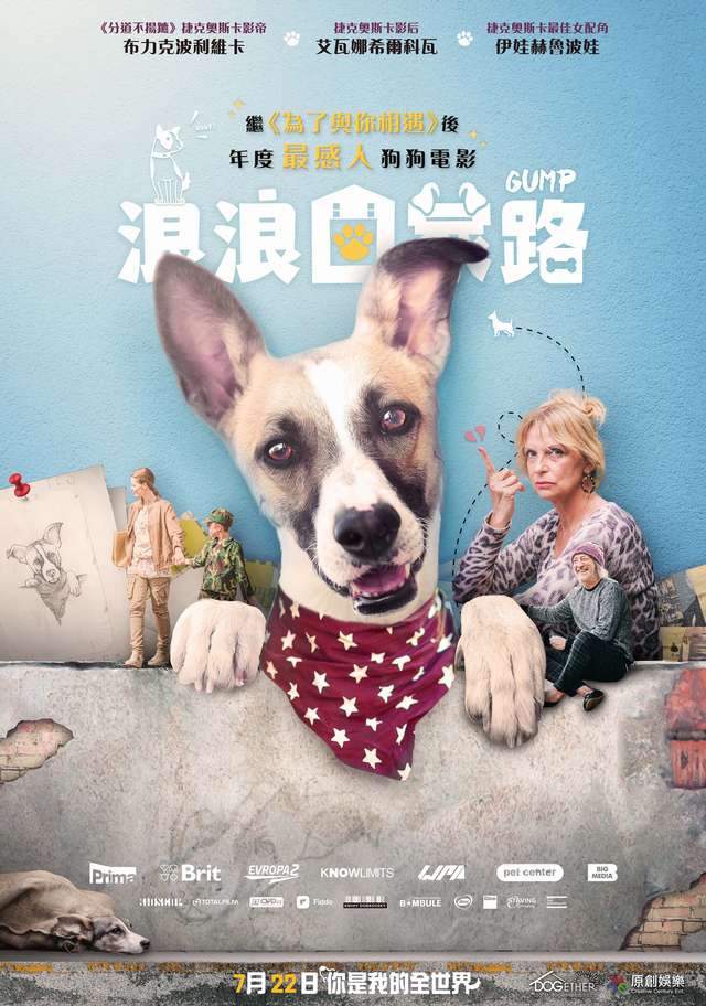浪浪回家路_Gump_電影海報