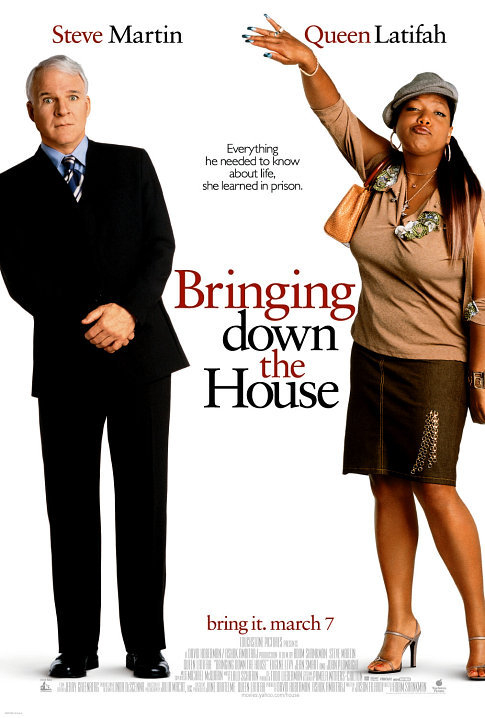 我的野蠻網友_Bringing Down the House_電影海報