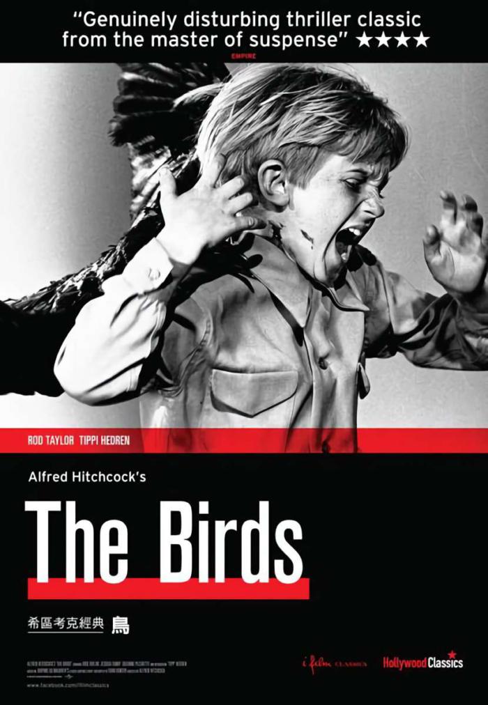 鳥_The Birds_電影海報