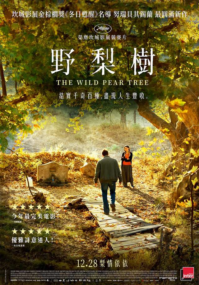 野梨樹_The Wild Pear Tree_電影海報