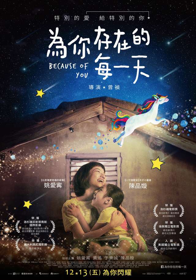 為你存在的每一天_Because of You_電影海報