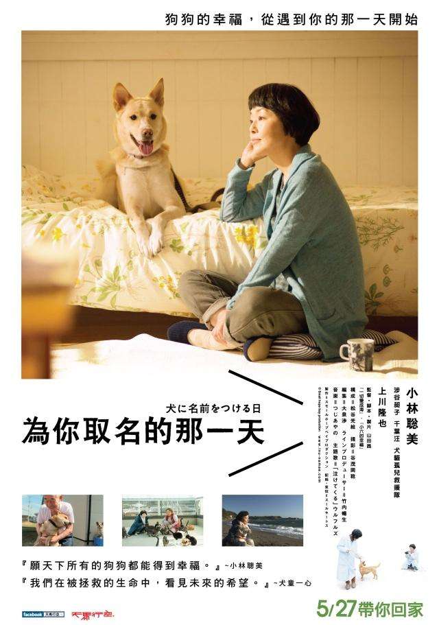為你取名的那一天_Dogs Without Names_電影海報
