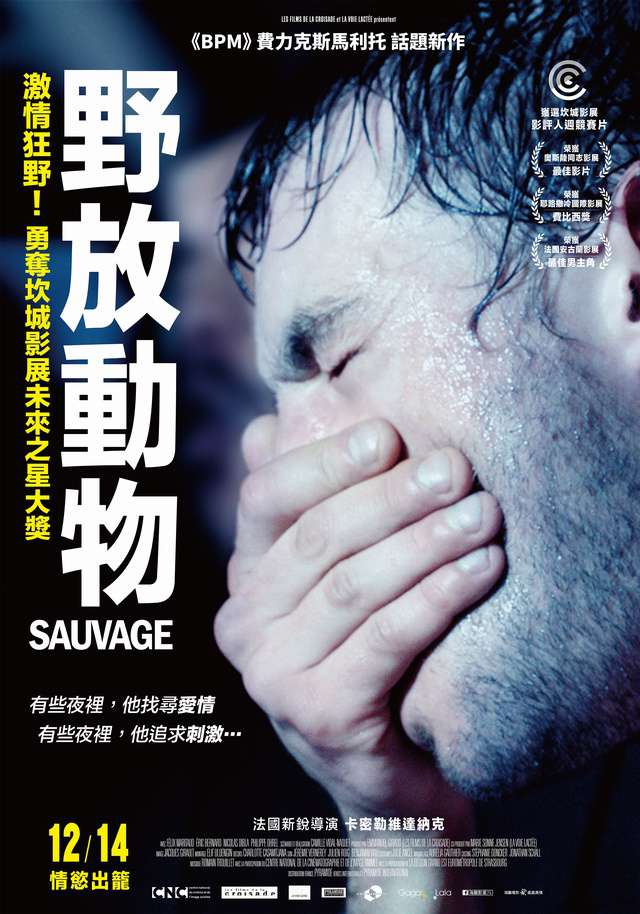 野放動物_Sauvage_電影海報