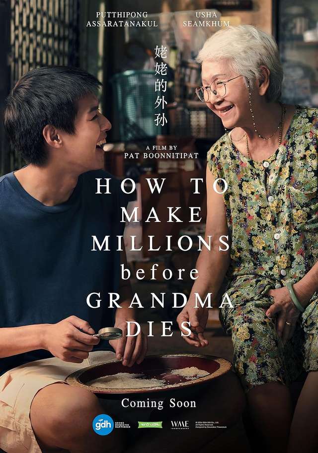 金孫爆富攻略_How to make millions before grandma dies_電影海報