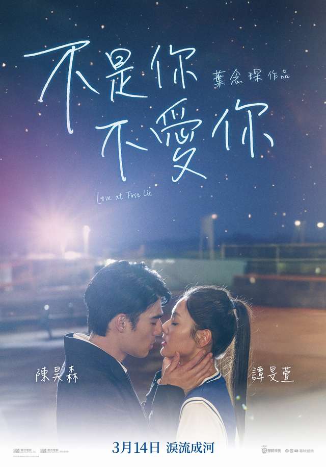 不是你不愛你_Love at First Lie_電影海報