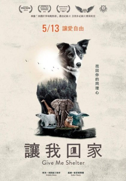 讓我回家_Give Me Shelter_電影海報