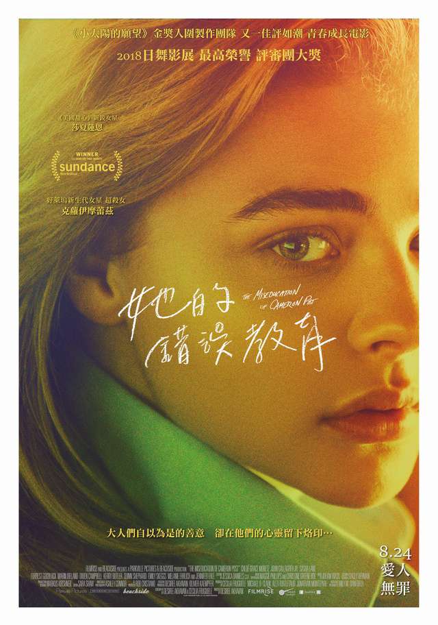她的錯誤教育_The Miseducation of Cameron Post_電影海報
