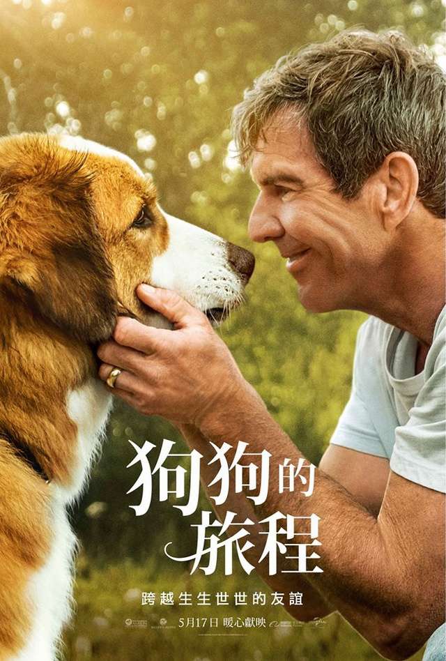 狗狗的旅程_A Dog’s Journey_電影海報