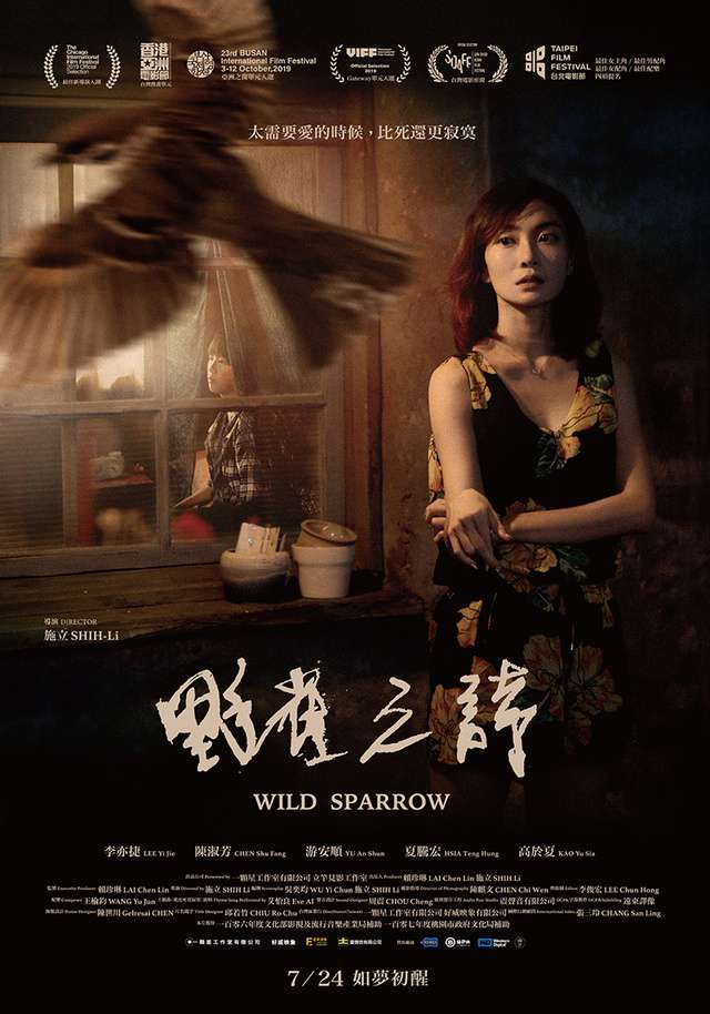 野雀之詩_Wild Sparrow_電影海報