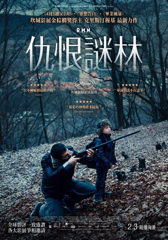 仇恨謎林_R.M.N._電影海報
