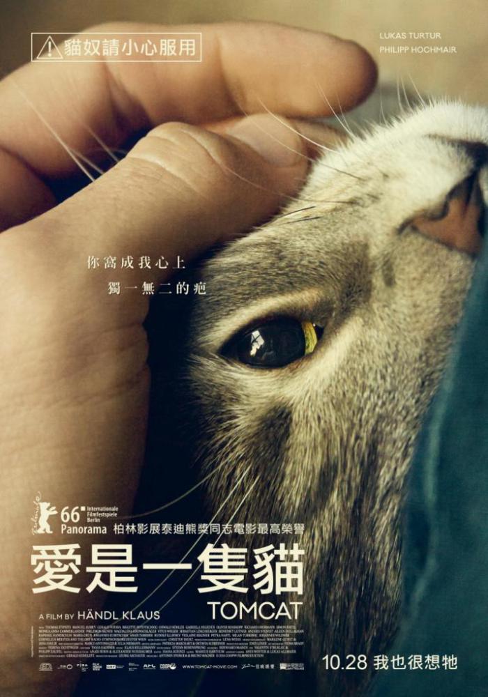 愛是一隻貓_Tomcat_電影海報