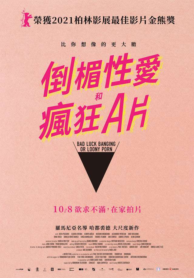 倒楣性愛和瘋狂A片_Bad Luck Banging or Loony Porn_電影海報