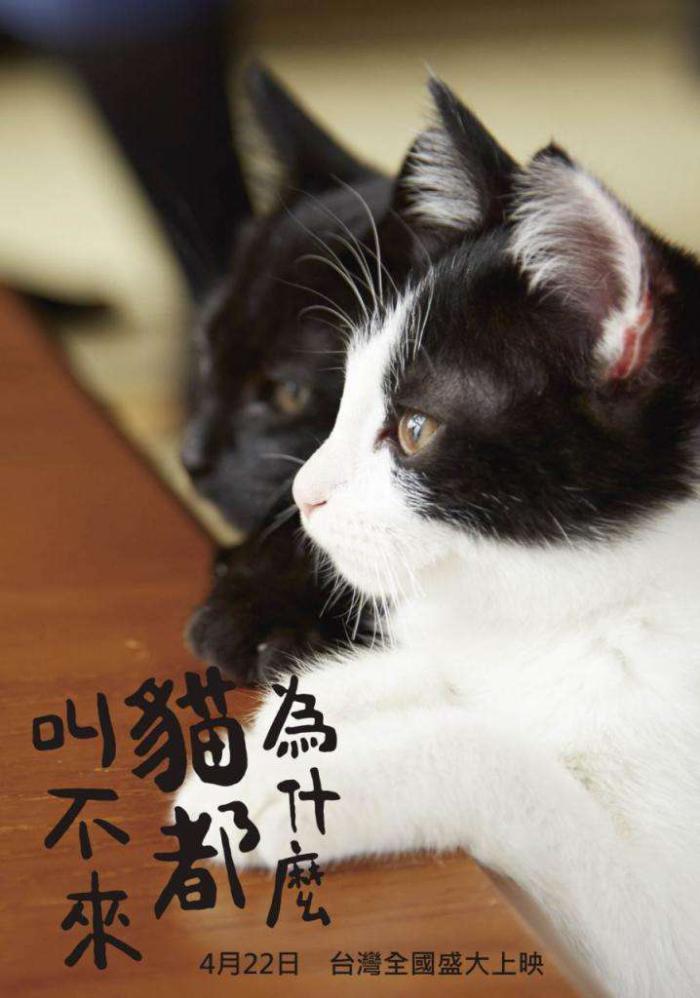 為什麼貓都叫不來_Neko Nanka Yondemo Kona_電影海報