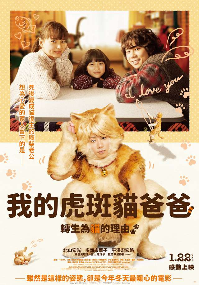 我的虎斑貓爸爸_My Life as a Cat_電影海報