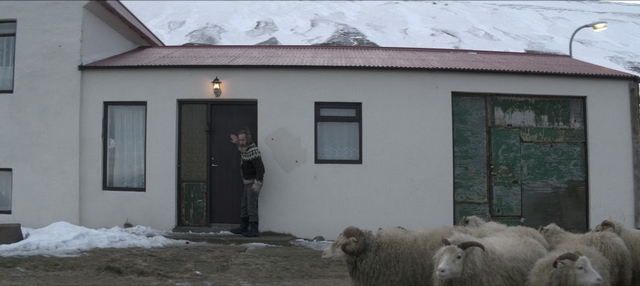 羊男的冰島冒險_Rams_電影劇照