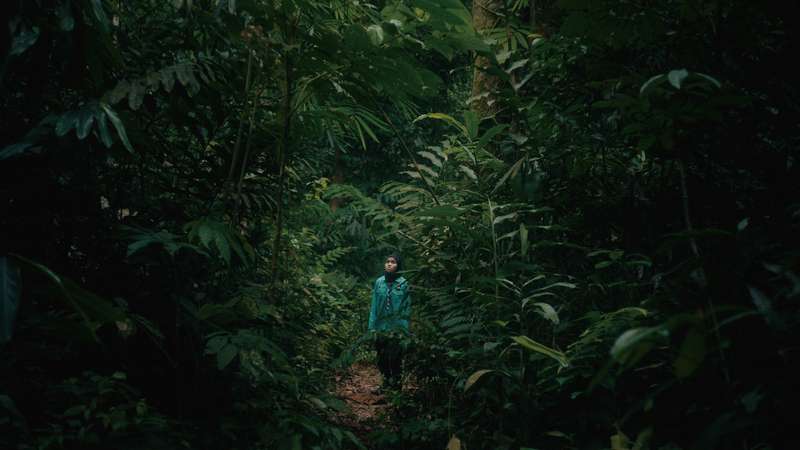 虎紋少女_Tiger Stripes_電影劇照