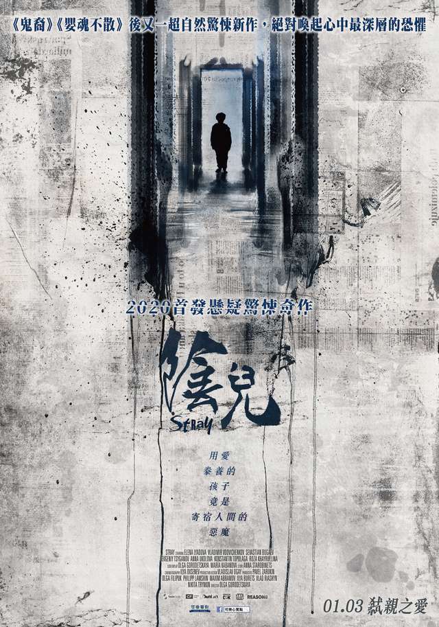 陰兒_Stray_電影海報