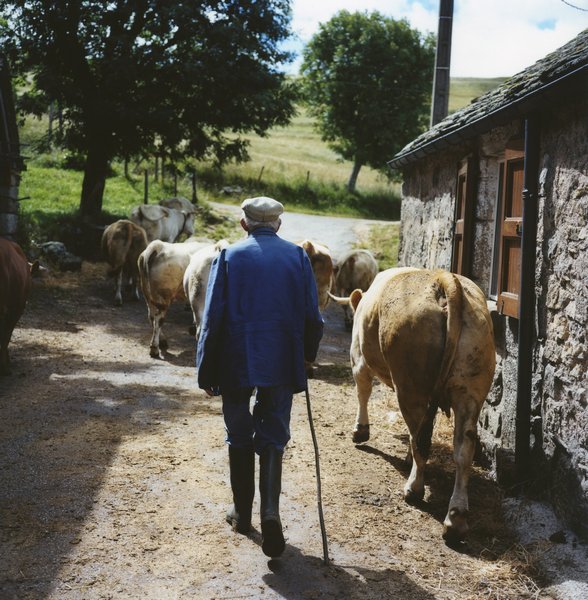 我在法國南部有間小屋_The Modern Life_電影劇照