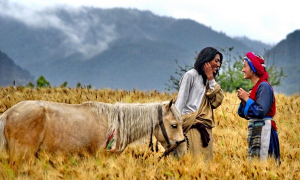 命懸800公里_Wild Horse from Shangrila_電影劇照
