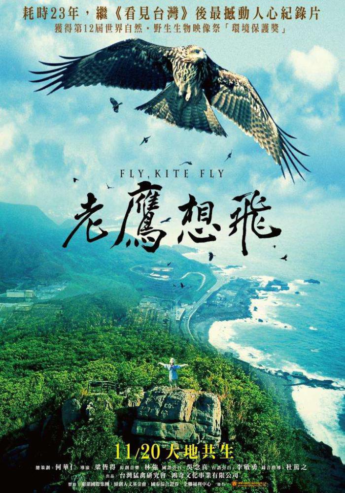 老鷹想飛_Fly, Kite Fly_電影海報