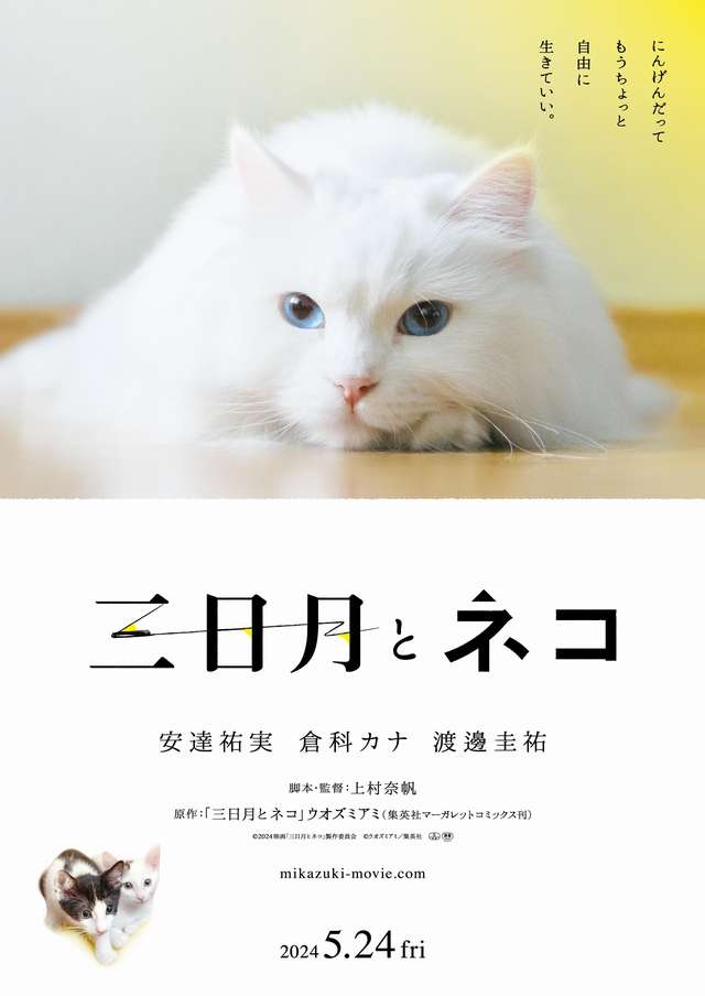 三日月和貓_Crescent Moon with Cats_電影海報