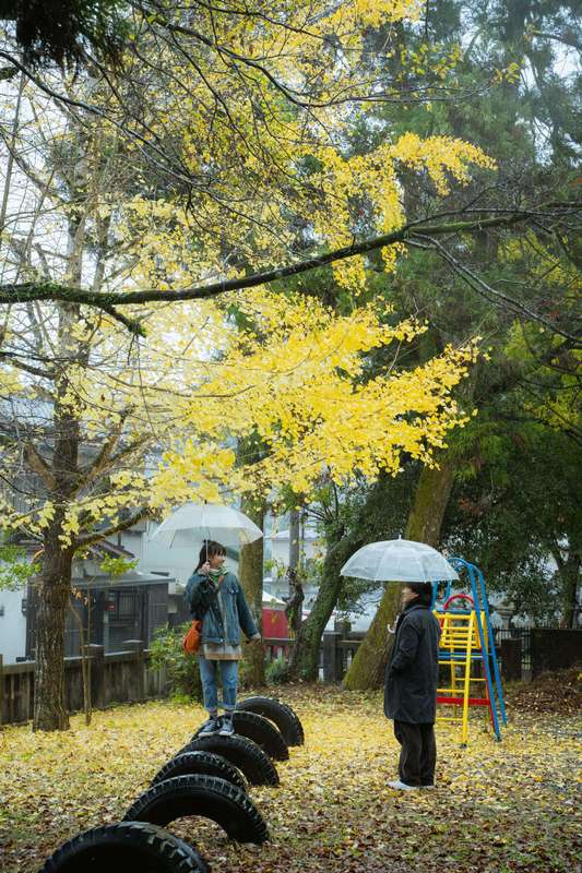 久別重逢_Last Song for You_電影劇照