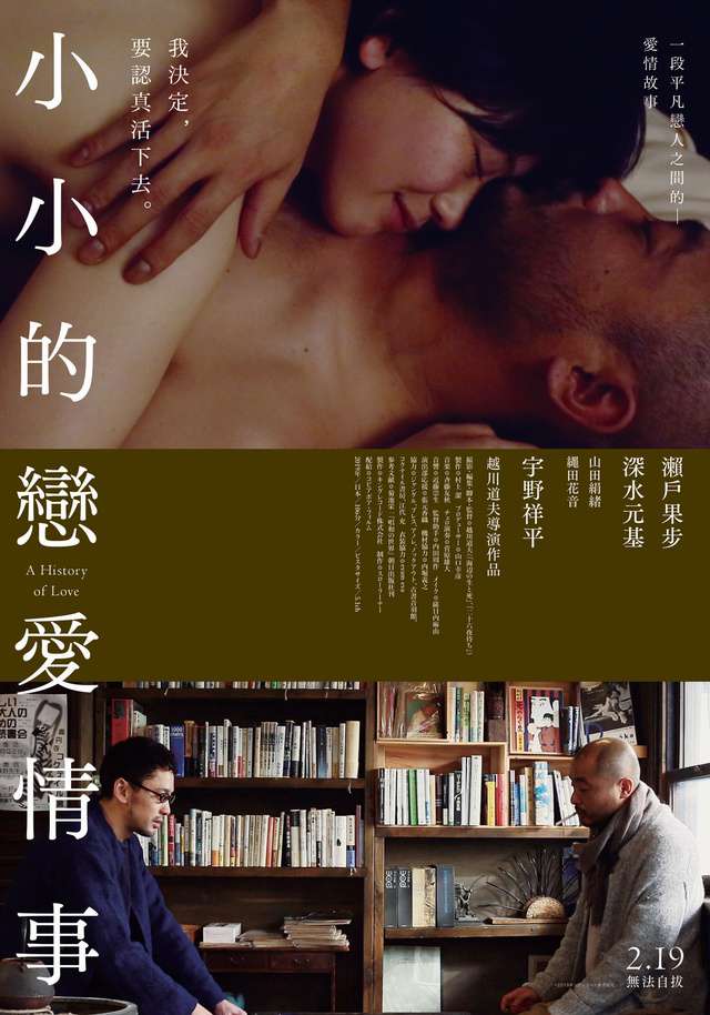小小的戀愛情事_A History of Love_電影海報