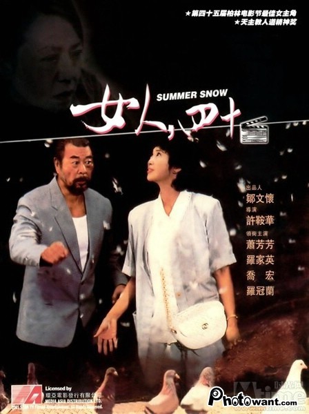 女人四十_Woman, Forty_電影海報