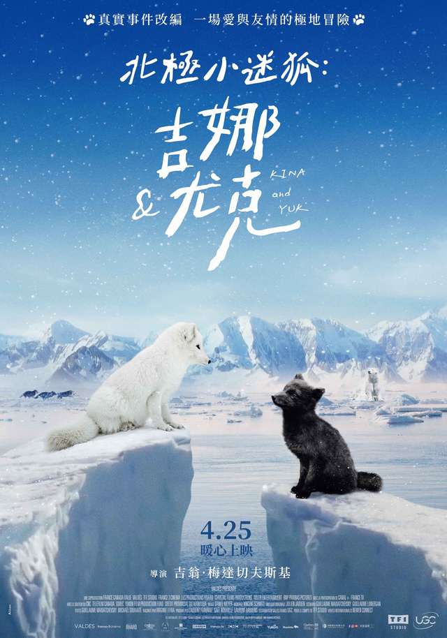 北極小迷狐：吉娜&尤克_北極小迷狐:吉娜&尤克 Kina & Yuk_電影海報